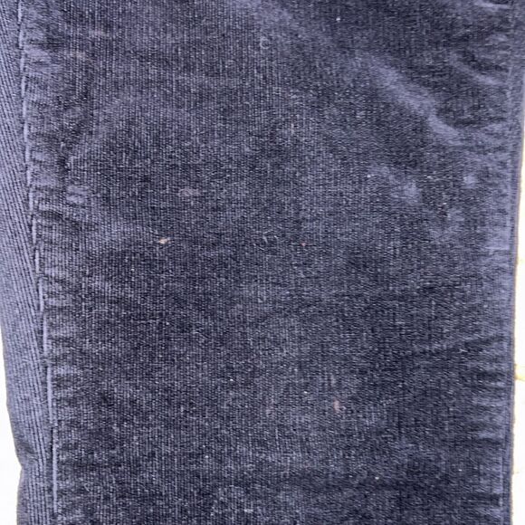 🐘Charter Club Blue velvet Pants - Picture 3 of 4